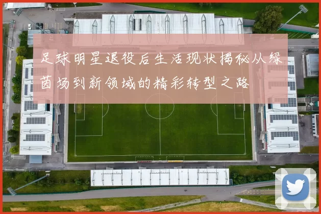 足球明星退役后生活现状揭秘从绿茵场到新领域的精彩转型之路