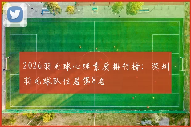 2026羽毛球心理素质排行榜：深圳羽毛球队位居第8名