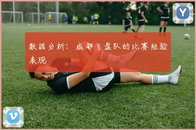 数据分析：成都飞盘队的比赛经验表现