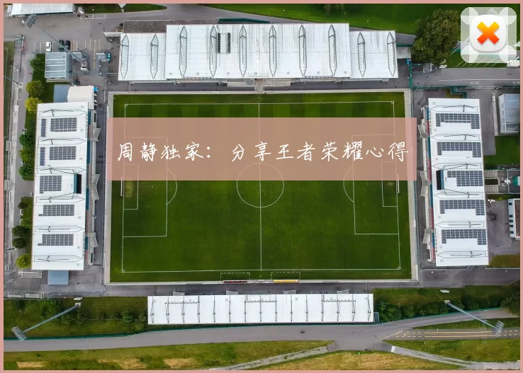 周静独家：分享王者荣耀心得